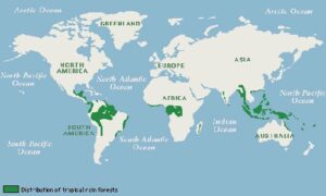 mapa tropskih kisnih suma (002)