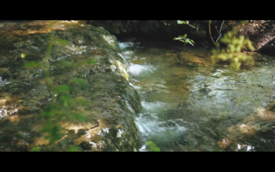 Vilenska vrela promovisala kanjon Cvrcke kroz novi video
