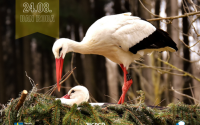 Svjetski dan roda 24.8.