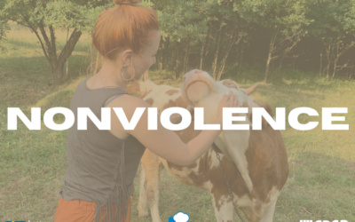 Zašto jedne volimo, a druge ubijamo?