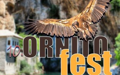 Deseti Ornitofestival počinje sutra u Blagaju