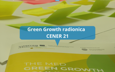 Green Growth radionica
