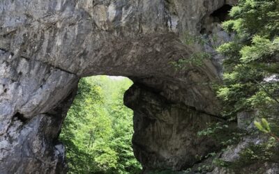 Označena zona zaštite Prerasta na Miljacki