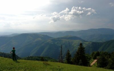 Novi zakon o geološkim istraživanjima usvojen bez predloženih amandmana