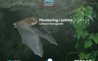 Monitoring i zaštita šišmiša u Bosni i Hercegovini