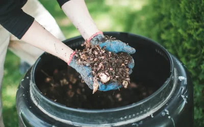 Međunarodna sedmica svijesti o kompostu: Koristi kompostiranja kod kuće