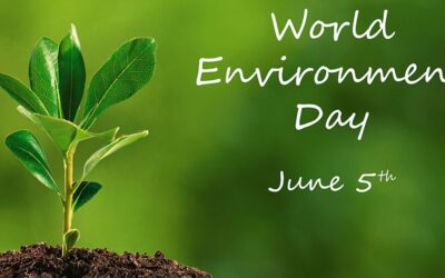 Svjetski dan okoliša 2024: Zašto se obilježava 5. juna?