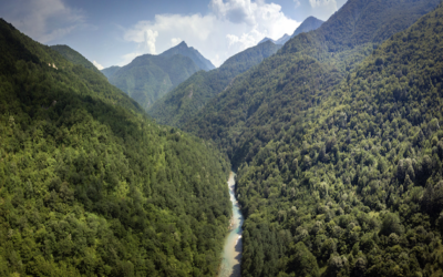 Usvojen Zakon o zaštiti prirode Republike Srpske; prijedlozi Centra uvršteni u novi Zakon